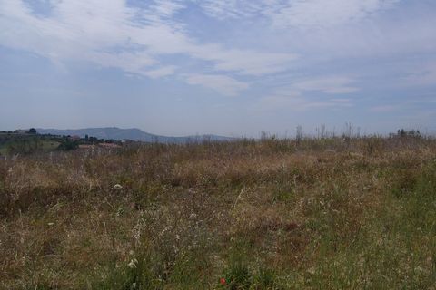 Landejendom i Controguerra, Teramo, Controguerra - € 130.000 | Ref: cas436 - foto 6