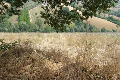 Landejendom i Controguerra, Teramo, Controguerra - € 130.000 | Ref: cas436 - foto 13