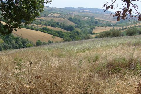 Landejendom i Controguerra, Teramo, Controguerra - € 130.000 | Ref: cas436 - foto 14