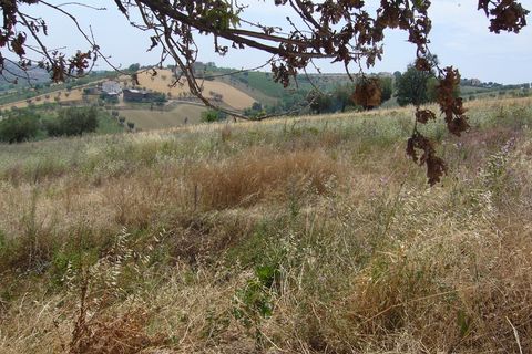 Landejendom i Controguerra, Teramo, Controguerra - € 130.000 | Ref: cas436 - foto 15