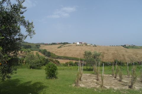 Helårsgrund i Colonnella, Teramo, Colonnella - € 470.000 | Ref: ter1 - foto 4