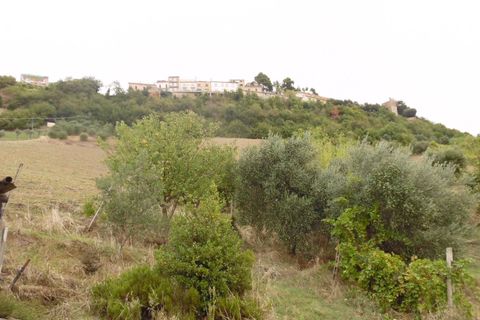 Villa i Ripatransone, Ascoli Piceno, Ripatransone - € 139.000 | Ref: cas81 - foto 12