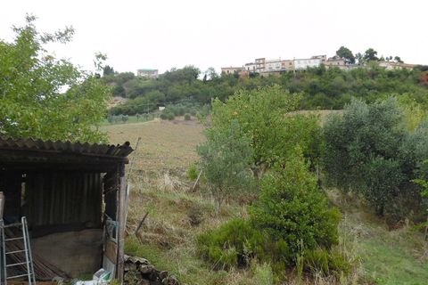 Villa i Ripatransone, Ascoli Piceno, Ripatransone - € 139.000 | Ref: cas81 - foto 14