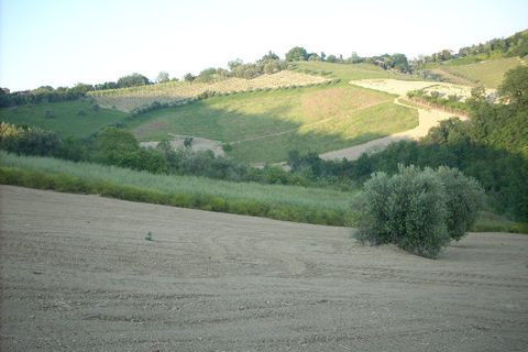 Herregård i Ripatransone, Ascoli Piceno, Ripatransone - € 65 000 | Ref: cas8 - foto 6