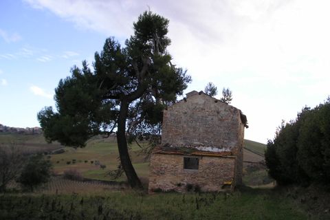 Landejendom i Acquaviva Picena, Ascoli Piceno, Acquaviva Picena - € 600.000 | Ref: cas44 - foto 14