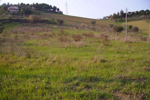 Helårsgrund i Monteprandone, Ascoli Piceno, Monteprandone - € 55.000 | Ref: ter174 - foto 1
