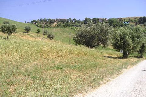 Helårsgrund i Monteprandone, Ascoli Piceno, Monteprandone - € 55.000 | Ref: ter174 - foto 3