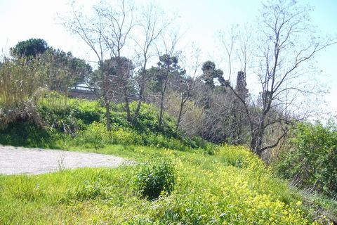 Tomt i Colonnella, Teramo, Colonnella - € 200 000 | Ref: ter167 - foto 3