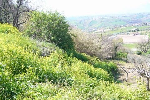 Tomt i Colonnella, Teramo, Colonnella - € 200 000 | Ref: ter167 - foto 4