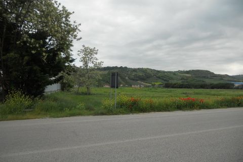 Helårsgrund i Controguerra, Teramo, Controguerra - € 390.000 | Ref: ter280 - foto 3