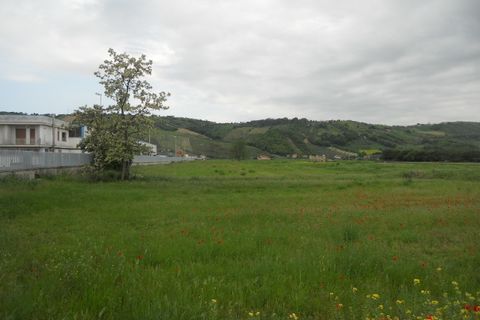 Helårsgrund i Controguerra, Teramo, Controguerra - € 390.000 | Ref: ter280 - foto 5