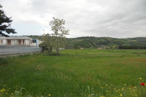 Helårsgrund i Controguerra, Teramo, Controguerra - € 390.000 | Ref: ter280 - foto 6