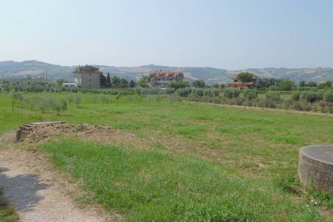 Helårsgrund i Spinetoli, Ascoli Piceno, Spinetoli - € 40.000 | Ref: ter6 - foto 2
