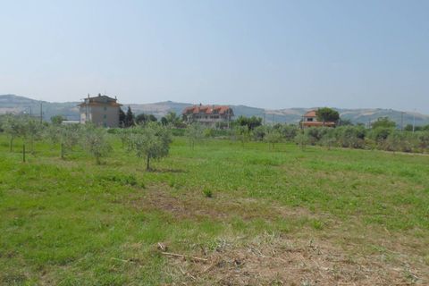 Helårsgrund i Spinetoli, Ascoli Piceno, Spinetoli - € 40.000 | Ref: ter6 - foto 3