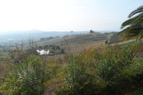 Helårsgrund i Monteprandone, Ascoli Piceno, Monteprandone - € 90.000 | Ref: ter5 - foto 1
