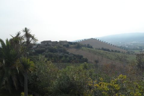 Helårsgrund i Monteprandone, Ascoli Piceno, Monteprandone - € 90.000 | Ref: ter5 - foto 4