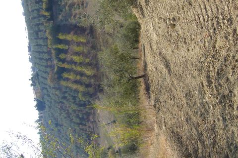 Helårsgrund i Tortoreto, Teramo, Tortoreto - € 80.000 | Ref: ter7 - foto 2