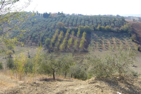Helårsgrund i Tortoreto, Teramo, Tortoreto - € 80.000 | Ref: ter7 - foto 4