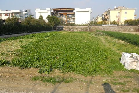 Helårsgrund i Monteprandone, Ascoli Piceno, Monteprandone - € 90.000 | Ref: ter23 - foto 2