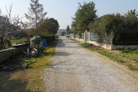 Helårsgrund i Monteprandone, Ascoli Piceno, Monteprandone - € 90.000 | Ref: ter23 - foto 3