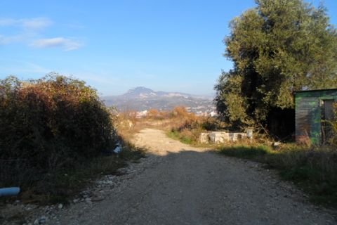 Helårsgrund i Folignano, Ascoli Piceno, Folignano - € 65.000 | Ref: ter555 - foto 1