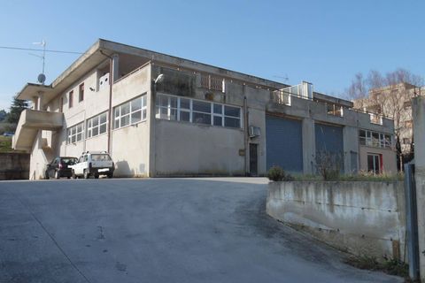 Erhvervsejendom i Acquaviva Picena, Ascoli Piceno, Acquaviva Picena - € 170.000 | Ref: cap98 - foto 17