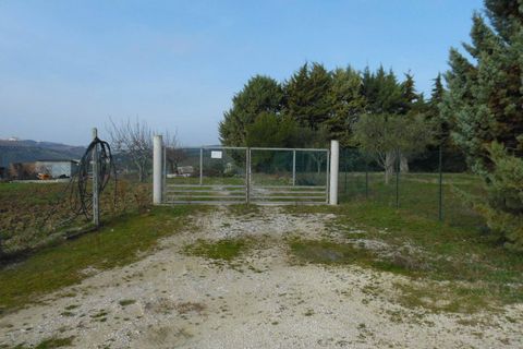 Helårsgrund i Colonnella, Teramo, Colonnella - € 50.000 | Ref: ter300 - foto 4