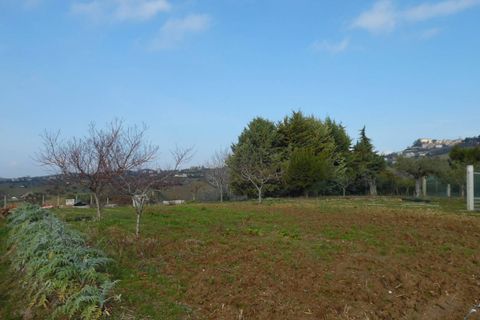Helårsgrund i Colonnella, Teramo, Colonnella - € 50.000 | Ref: ter300 - foto 5