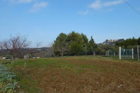 Helårsgrund i Colonnella, Teramo, Colonnella - € 50.000 | Ref: ter300 - foto 6
