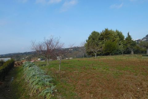 Helårsgrund i Colonnella, Teramo, Colonnella - € 50.000 | Ref: ter300 - foto 7