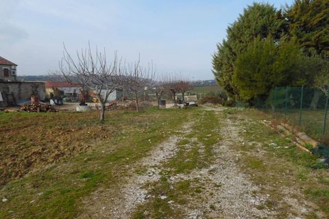Helårsgrund i Colonnella, Teramo, Colonnella - € 50.000 | Ref: ter300 - foto 9