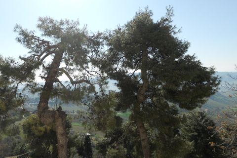 Villa i Monteprandone, Ascoli Piceno, Monteprandone - € 135.000 | Ref: cas590 - foto 14