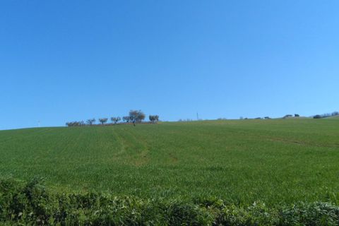 Helårsgrund i Fermo, Fermo, Fermo - € 350.000 | Ref: ter133 - foto 3