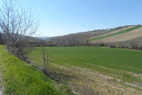 Helårsgrund i Fermo, Fermo, Fermo - € 350.000 | Ref: ter133 - foto 5