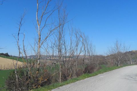 Helårsgrund i Fermo, Fermo, Fermo - € 350.000 | Ref: ter133 - foto 6