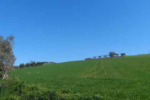 Helårsgrund i Fermo, Fermo, Fermo - € 350.000 | Ref: ter133 - foto 8