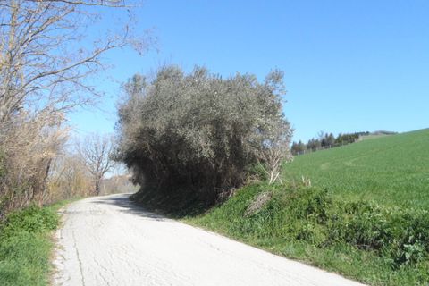 Helårsgrund i Fermo, Fermo, Fermo - € 350.000 | Ref: ter133 - foto 10