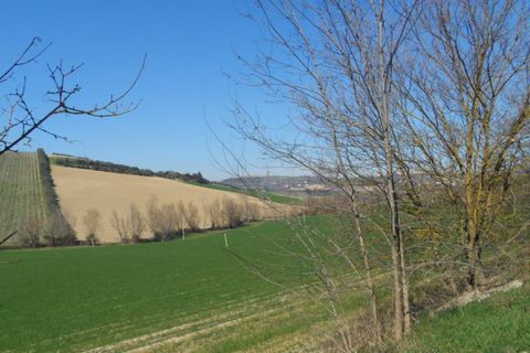 Helårsgrund i Fermo, Fermo, Fermo - € 350.000 | Ref: ter133 - foto 12
