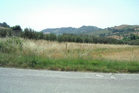 Helårsgrund i Colonnella, Teramo, Colonnella - € 320.000 | Ref: ter188 - foto 2