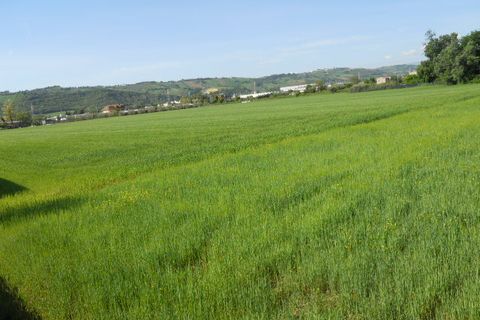 Helårsgrund i Monteprandone, Ascoli Piceno, Monteprandone - € 1.800.000 | Ref: ter27 - foto 1