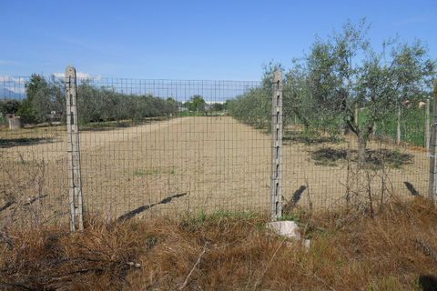 Helårsgrund i Monteprandone, Ascoli Piceno, Monteprandone - € 1.800.000 | Ref: ter27 - foto 2