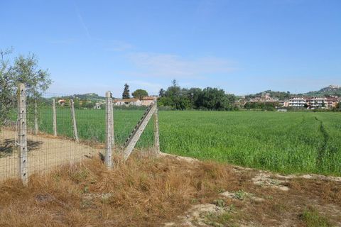 Helårsgrund i Monteprandone, Ascoli Piceno, Monteprandone - € 1.800.000 | Ref: ter27 - foto 3