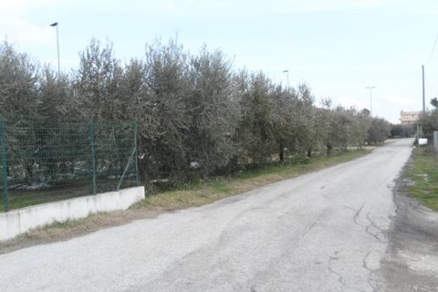 Helårsgrund i Monteprandone, Ascoli Piceno, Monteprandone - € 300.000 | Ref: ter180 - foto 8