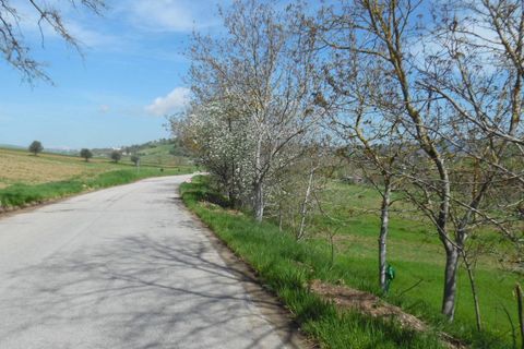 Helårsgrund i Spinetoli, Ascoli Piceno, Spinetoli - € 45.000 | Ref: ter40 - foto 3