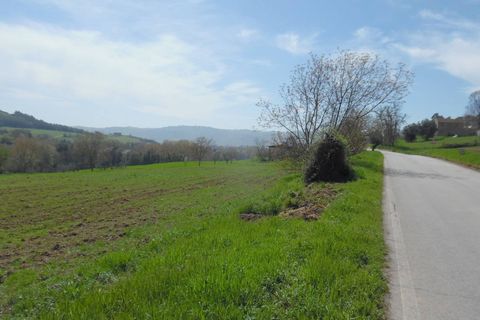Helårsgrund i Spinetoli, Ascoli Piceno, Spinetoli - € 45.000 | Ref: ter40 - foto 9