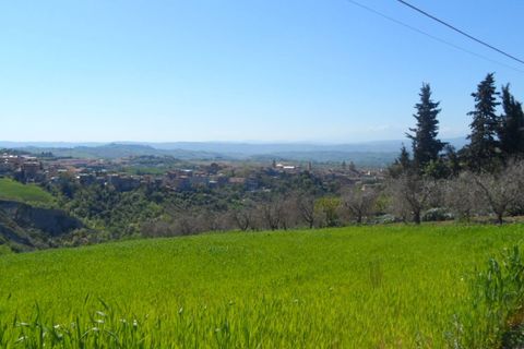 Helårsgrund i Offida, Ascoli Piceno, Offida - € 95.000 | Ref: ter19 - foto 2