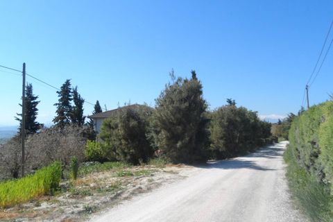 Helårsgrund i Offida, Ascoli Piceno, Offida - € 95.000 | Ref: ter19 - foto 3
