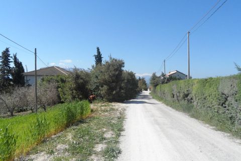 Helårsgrund i Offida, Ascoli Piceno, Offida - € 95.000 | Ref: ter19 - foto 5