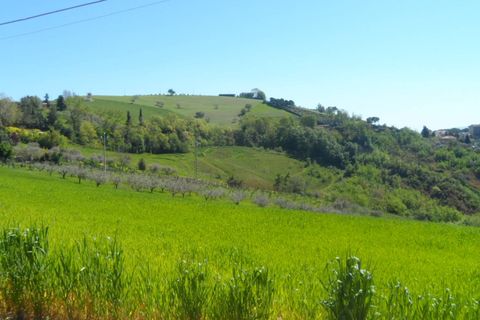 Helårsgrund i Offida, Ascoli Piceno, Offida - € 95.000 | Ref: ter19 - foto 6