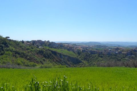 Helårsgrund i Offida, Ascoli Piceno, Offida - € 95.000 | Ref: ter19 - foto 7